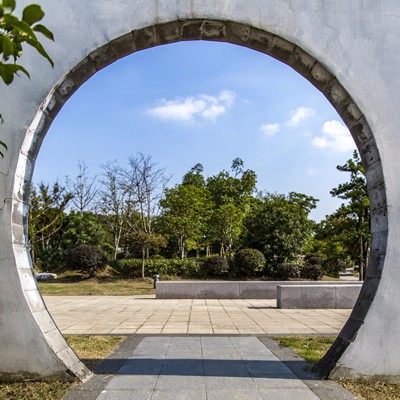 西华林街南段改造及景观绿化