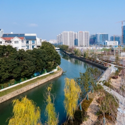 渔泾河青坎绿化景观