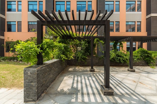 园区二中：改扩建实现文化“延伸”